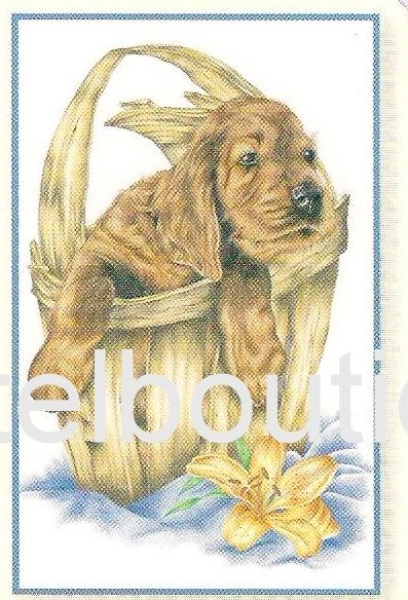 3D Schnittbogen Welpen