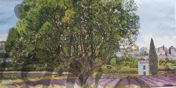 Serviette champs de lavande