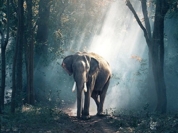 - Kopie - Kopie - Kopie