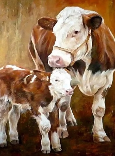 - Kopie - Kopie - Kopie - Kopie