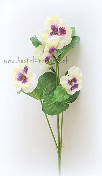 Stiefmütterchen gelb