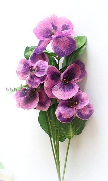 Stiefmütterchen lila