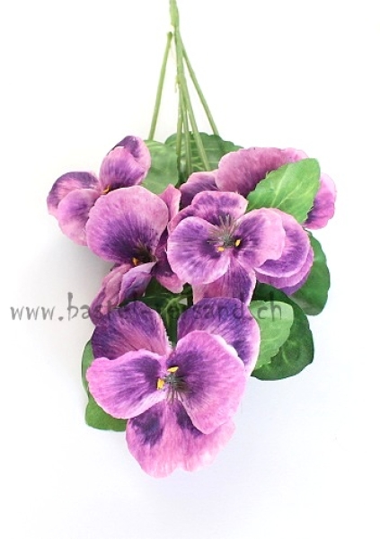 Stiefmütterchen lila