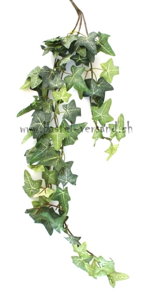 Efeuzweig 3-fach