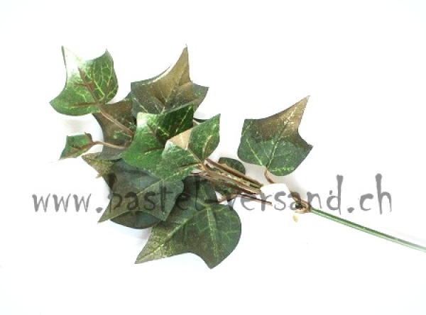 Efeuzweig mit gold Spitzen