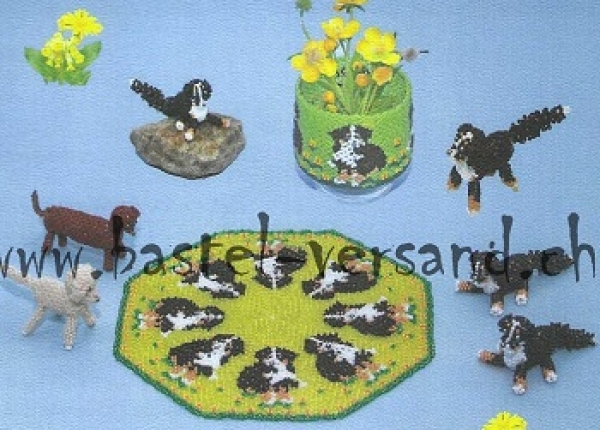 Elises Anleitung s1701