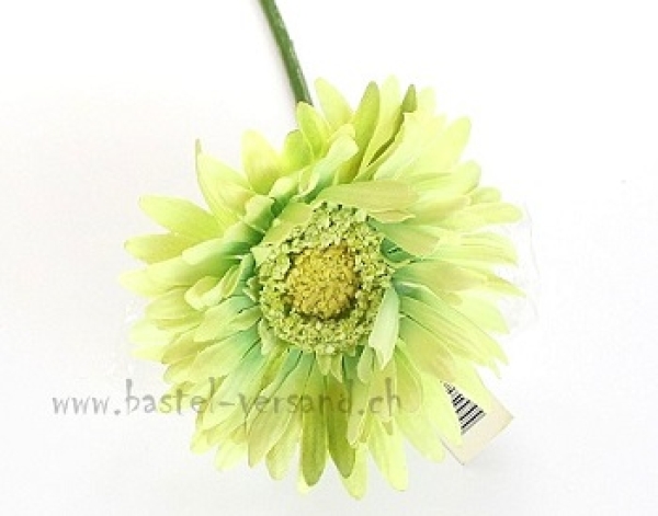 - Kopie - Kopie - Kopie