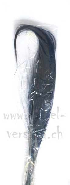 Barbaragras blau ca. 20 gramm