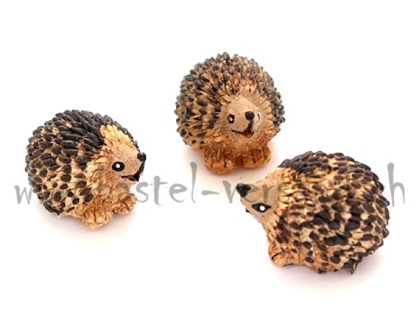 kleiner Igel
