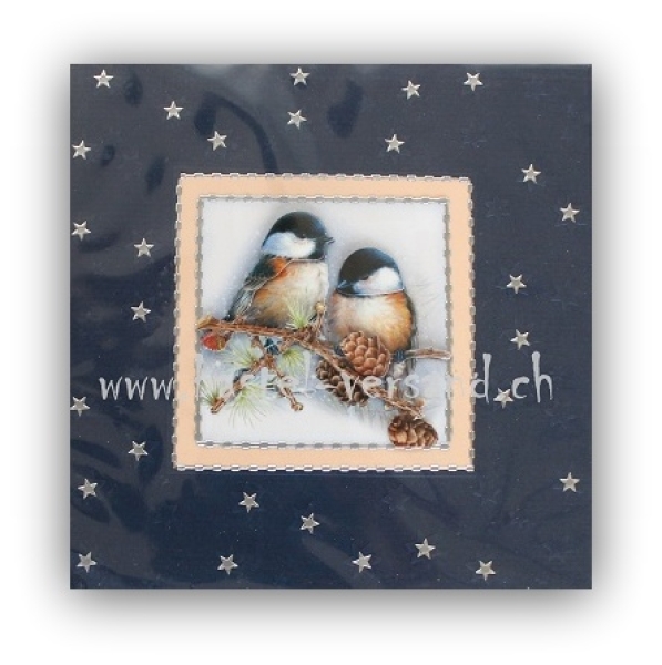 Weihnachtskarte Meisli