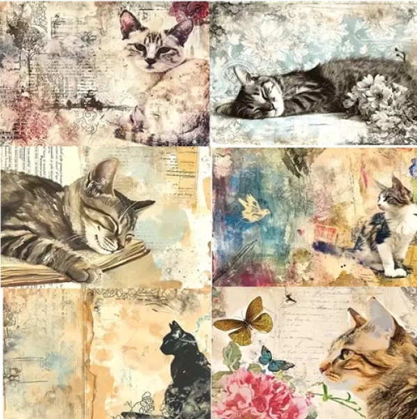 Designpapier Katzen