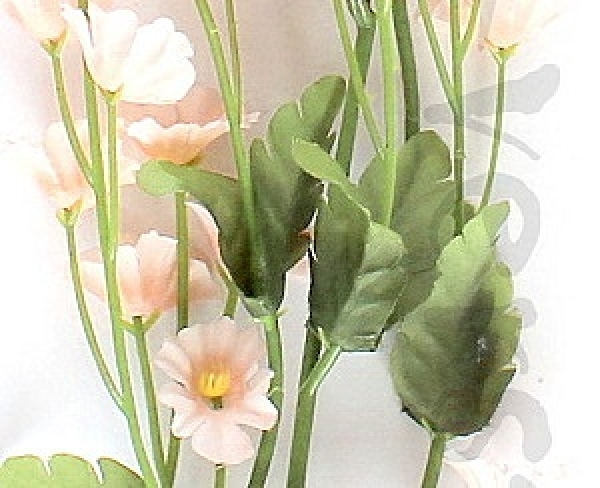 kleine lachsfarbige Blüten