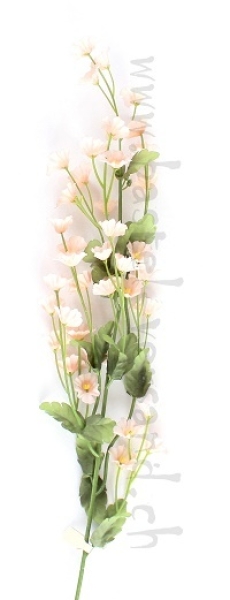 kleine lachsfarbige Blüten