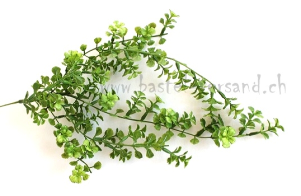 - Kopie - Kopie - Kopie - Kopie - Kopie