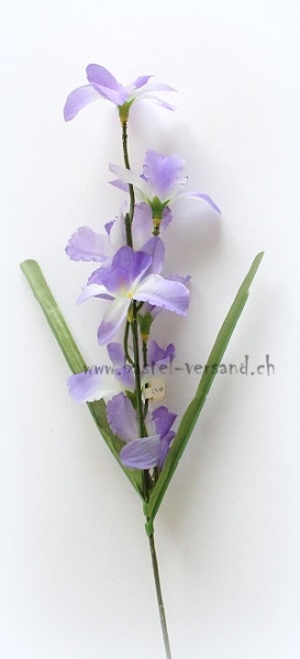 Blume violett