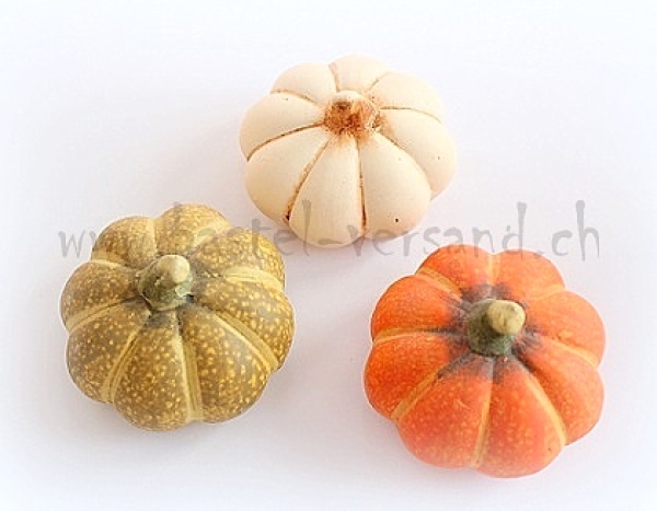 Kürbis (3Stk.)