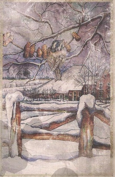 Schnittbogen Wintermotive