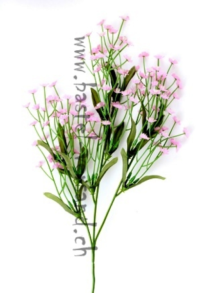 kleine blauviolette Blüten