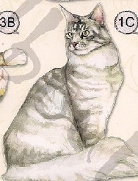 3D Stanzbogen Katzen