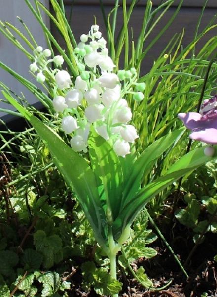 - Kopie - Kopie - Kopie - Kopie