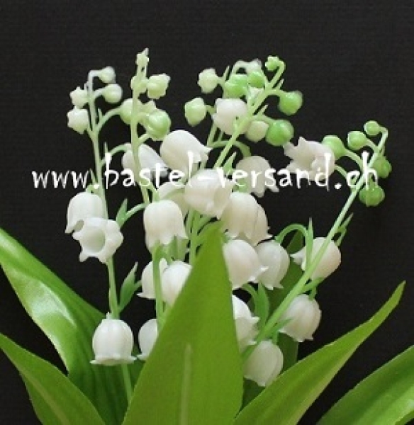 - Kopie - Kopie - Kopie - Kopie