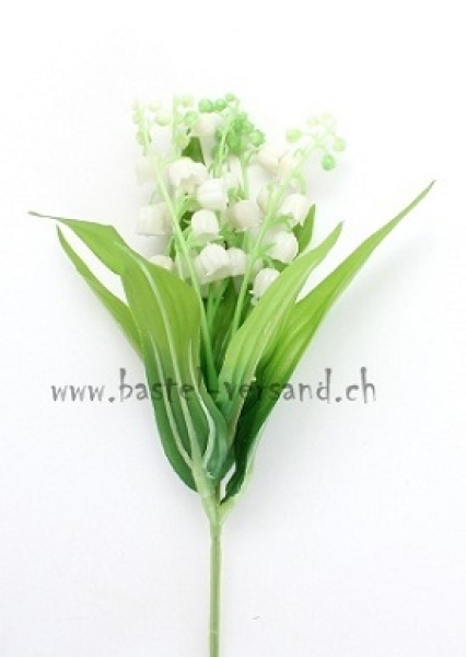 - Kopie - Kopie - Kopie - Kopie