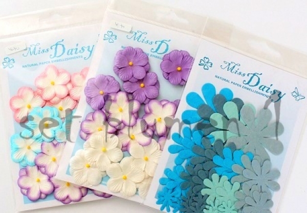 Miss Daisy Set Blumen (1)