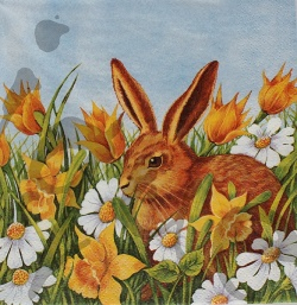 Serviette hase in der wiese (2Stk.)