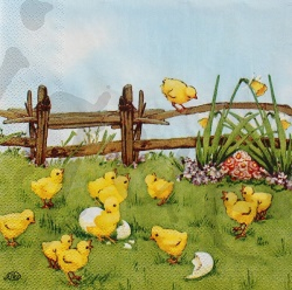 Serviette küken auf der wiese