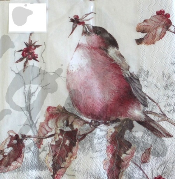 Serviette beautiful bullfinch