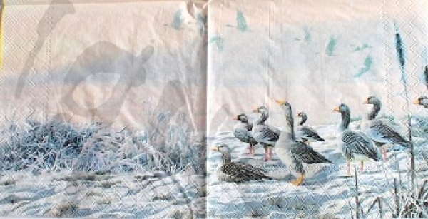 Serviette winter river geese