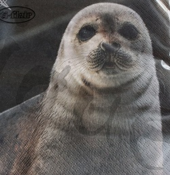 Serviette saddleback seal