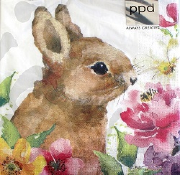 Serviette am l cute?