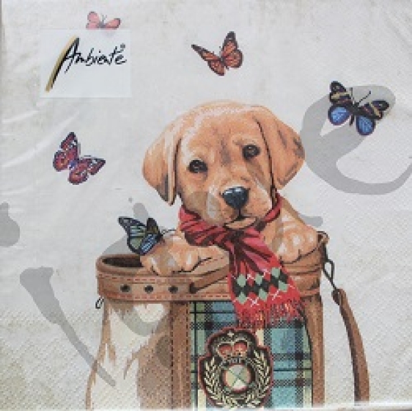 - Kopie - Kopie - Kopie