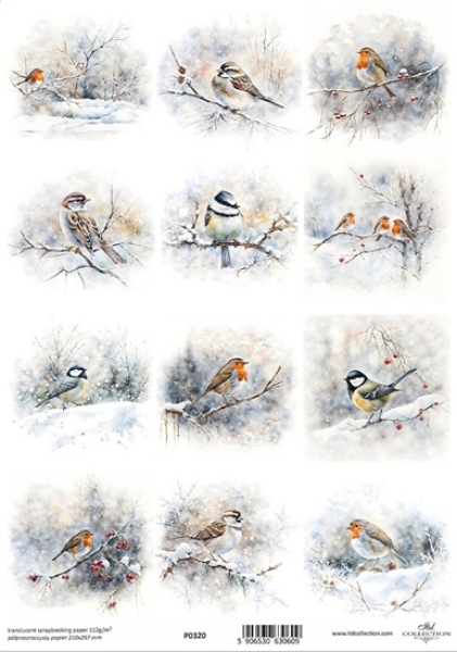 - Kopie - Kopie - Kopie - Kopie