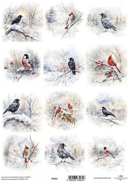 - Kopie - Kopie - Kopie