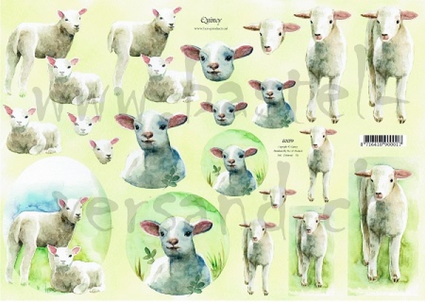 3D Schnittbogen Lämmer