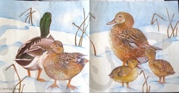 Serviette enten im schnee (Molca)