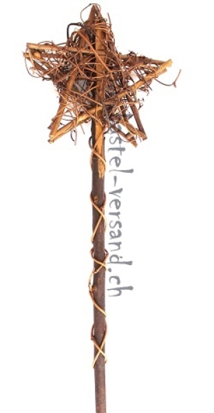 Rebenstern auf Holzstab