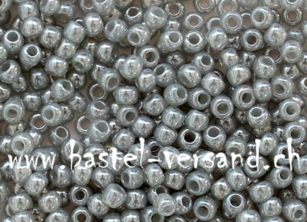 Toho Rocailles-Perlen 9/0 grau 313