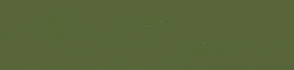 Satin double Face 3mm oliv