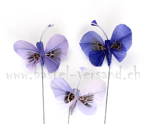Federschmetterling 5,5cm lila / violett (3Stk.)