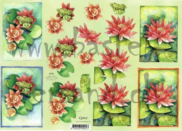 3D Schnittbogen Seerose