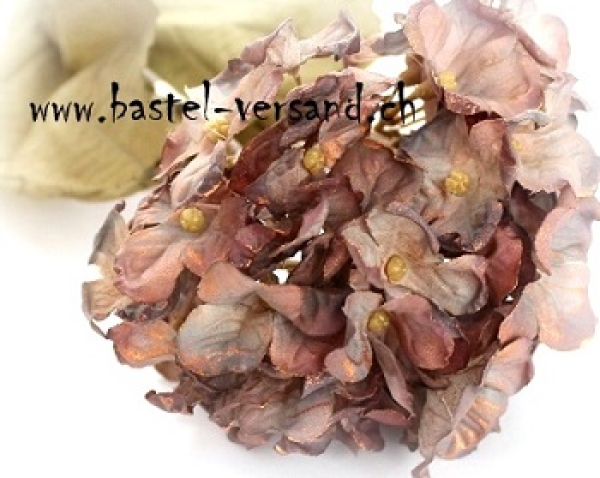 Hortensie blau/kupfer