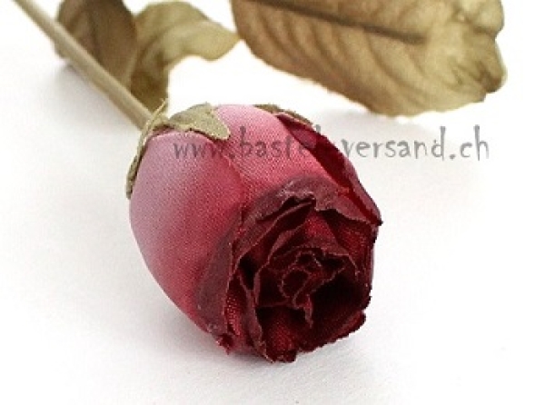 - Kopie - Kopie - Kopie