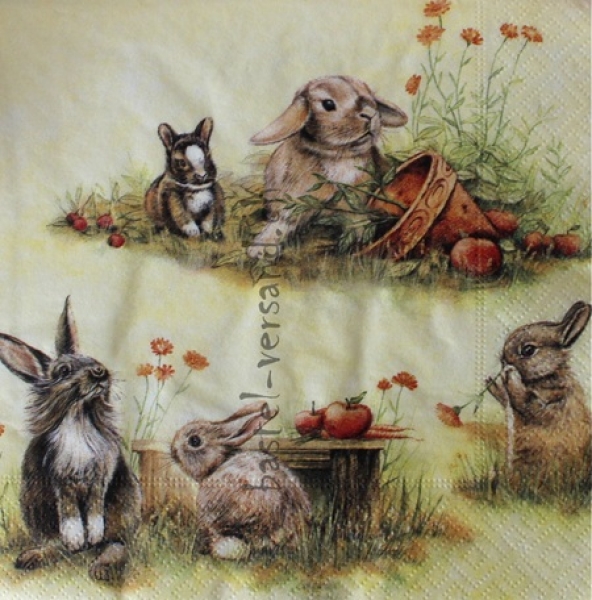 Serviette cute rabbits