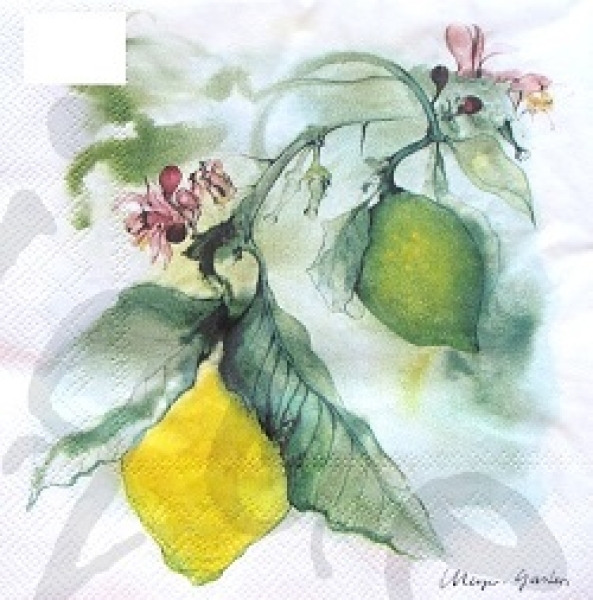 Serviette citrus lemon