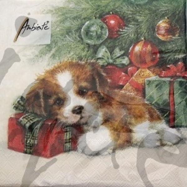 Serviette gift gaurd