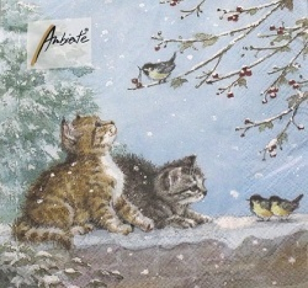 Serviette watching birds