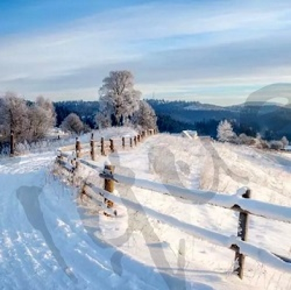 Serviette winter walk